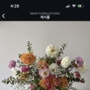 너프플로럴스튜디오
