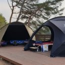 산속애견 이미지