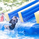 서부공원녹지사업소 이미지