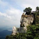 하늘에서 땅끝까지 이미지