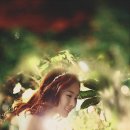 이미지 팩토리