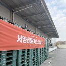 세일인쇄 | 🛍️ 서양네트웍스 패밀리 세일 득템 후기! (80% 할인 대란 놓치지 마세요!)
