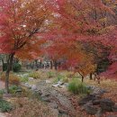 청심천배드민턴장 이미지