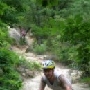 청초호유원지(북측) 이미지