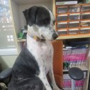 가람종합상사 이미지