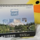 봄내동물병원 이미지