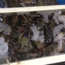 서해민박 이미지