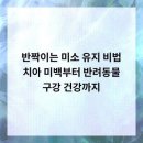 월드치과의원 이미지