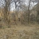 율산리 마을회관 이미지