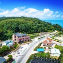 담하가비 이미지