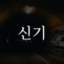 신기 이미지
