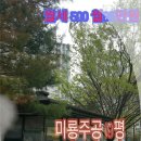 미룡약국 이미지