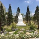 청주성모병원 이미지