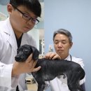 대구가축병원 이미지