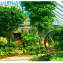 양덕동581 이미지