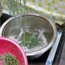 웰빙양푼칼국수 네이버블로그