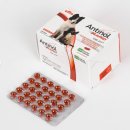 240 | 강아지 슬개골 관절 영양제 추천 안티놀 래피드 240캡슐 할인 후기