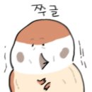 장가네양꼬치