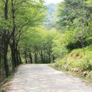 갈맷길6-2구간 이미지