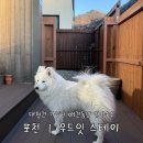 스테이우드 | 포천 대형견 가능 반려동물 동반 숙소｜마당 펜스 완비 스테이우드잇 후기