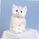 (주)리얼화이트 이미지