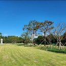 지평선주유소 이미지