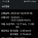유일사 이미지