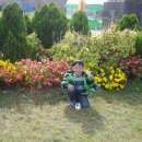 기민기현 이미지