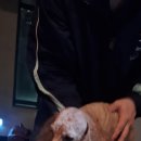 김성록동물병원 이미지