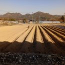 시골살이마을 이미지