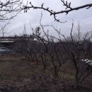 성림농장 이미지