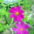 좋은사이 이미지