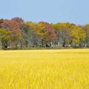 만추 - 서초구 사평대로55길 82-14 | 만추