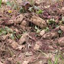 한우리지역아동센터 2 이미지