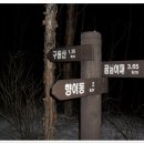 도래기재~구룡산~신선봉~부쇠봉~문수봉~장군봉~꽃방석고개(101212.낙9-21) 이미지