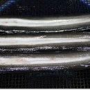 강수산 - 통영시 | 강수산