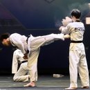 태권이든 이미지