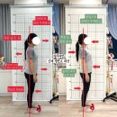 자세 개선 팔라테스 이미지