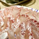 나 식자재마트 회코너 사장님이랑 친해졌는데 갈때마다 진지하게 배우고 옴 이미지