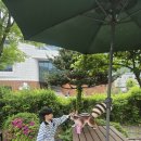 해우재 문화센터 | 수원 해우재박물관 해우제문화센터ㅣ똥박물관ㅣ똥도서관ㅣ아이랑 가볼만한 곳