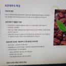 높은다락골 이미지