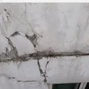 성락약국 이미지