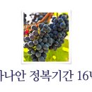 가나안기업