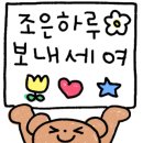 엘로디왁싱