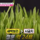 보리, 愛 이미지