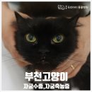 중동우리아이동물병원