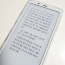 팔마 이미지