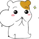 카페아는언니 이미지