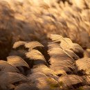 호반 캠핑장 이미지