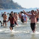 거제도국제펭귄수영축제 이미지